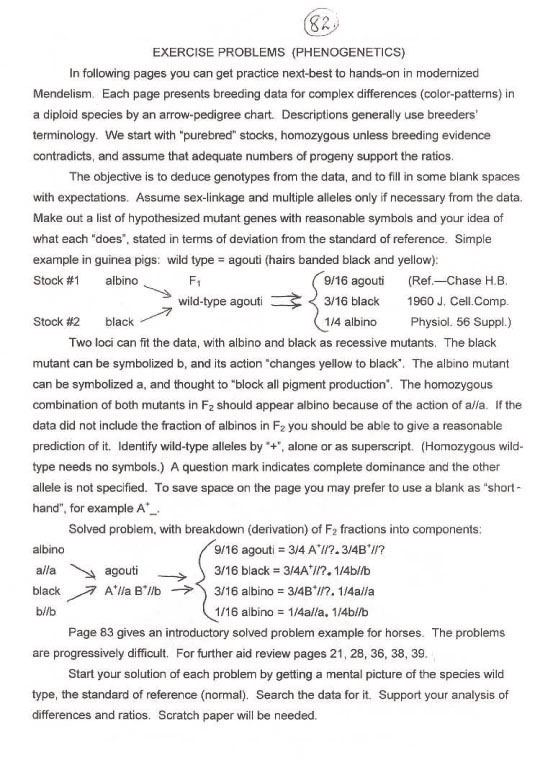 page82.jpg (112590 bytes)